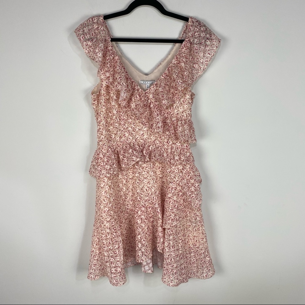 Senlis Aria Ruffle Sleeveless Mini Dress in Pink Country Floral